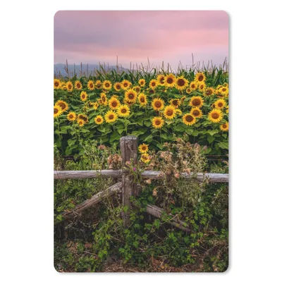 Produktbild von MuchoWow® Mauspad Mousepad Sonnenblume - Blumen - Pflanzen 40x60 cm - Mousepads - Maus Mat - Pad - Mausunterlage - Schreibtisch Accesoire