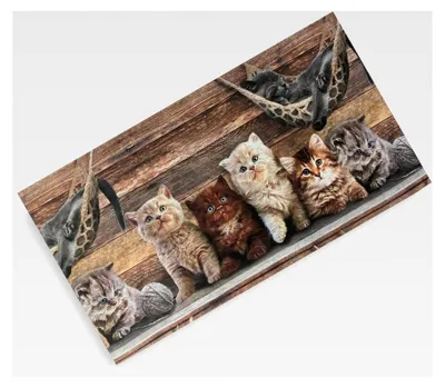 Produktbild von Teppichläufer für die Küche mit Katzenmotiv, rutschfest, waschbar, weich, hergestellt in Italien, 50 x 100 cm