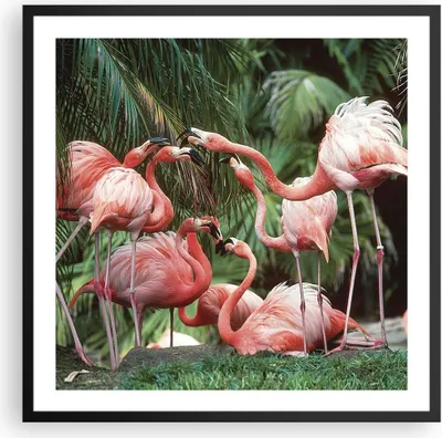 Produktbild von Gerahmtes Poster - Schwarzer Rahmen - Palmen Herde Flamingos - 60x60 cm - Wand Bild - Wanddeko - Wandbilder - Kunstposter - Wandposter - Bilderrahmen - Bilder - Kunstdruck - P2BAC60x60-4804