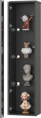 Produktbild von Multifunktionale Vitrine, Glastrennwand, LED-Farbwechsel Licht, schlichtes Design, Schwarz