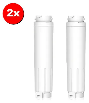 Two white refrigerator water filters are shown against a white background.