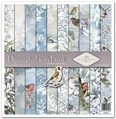 Immagine prodotto di ITD Set 11 pezzi 31x32cm einseitig Scrapbooking Papier 200g, decorato con brina