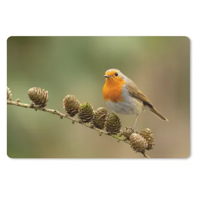 Produktbild von MuchoWow® Mauspad Mousepad Vogel - Rotkehlchen - Tannenzapfen - Zweig - Herbst 27x18 cm - Mousepads - Maus Mat - Pad - Mausunterlage - Büroartikel - Desk Matten