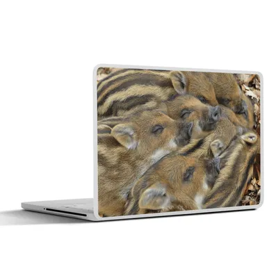 Produktbild von MuchoWow® Laptop Aufkleber Sticker Cover Schweine - Schlafen 30x21 cm - Sticker für Laptop - Selbstklebend