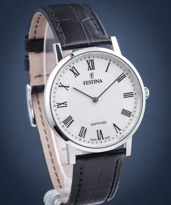 Image de Festina - F20012/2 - Montre-bracelet - Hommes