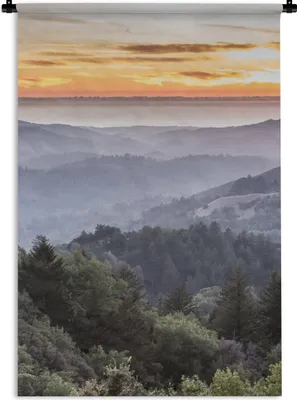 Produktbild von MuchoWow® Wandteppich Wandbehang Berge - Sonne - Wald - Landschaft 60x90 cm Tapisserie Dekoration Wandtuch - Foto-Teppich - Abwaschbar