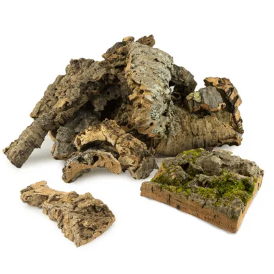 Immagine prodotto di Corteccia di quercia da sughero per zampe o diy - per tutti i pappagalli 250G