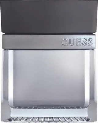 Obrázek produktu pro Seductive toaletní voda Homme pro muže 100 ml - GUESS