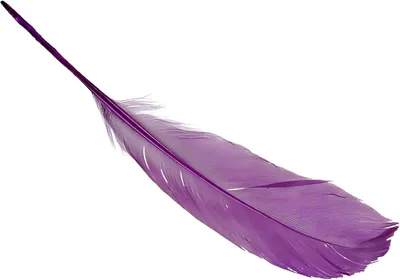 Produktbild von KNORR PRANDELL 216620272 Gänsefedern ca. 16 - 21 cm violett