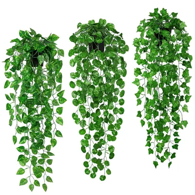Image de 3 plantes suspendues artificielles en pot, 90 cm, plantes suspendues artificielles, lierre artificiel, vigne artificielle, eucalyptus facile d'entretien, décoration murale pour l'intérieur et l'extérieur