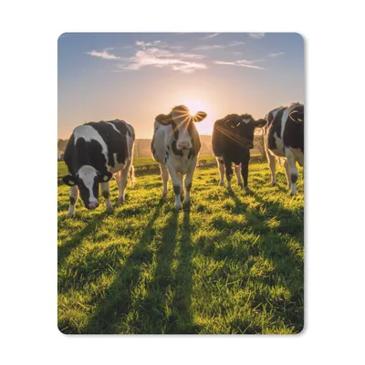 Produktbild von MuchoWow® Mauspad Mousepad Kühe - Sonne - Gras - Tiere - Bauernhof 30x40 cm - Mousepads - Maus Mat - Pad - Mausunterlage - Mausmatten