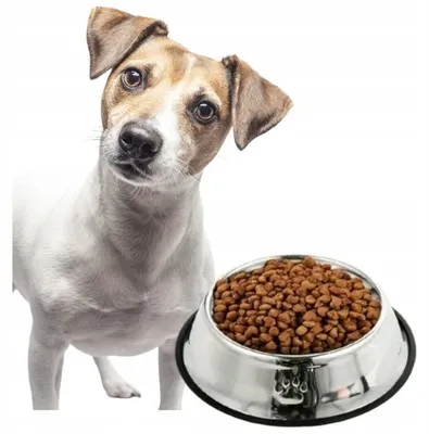 Produktbild von Großer Edelstahl Napf für Hunde 600 ml rutschfest