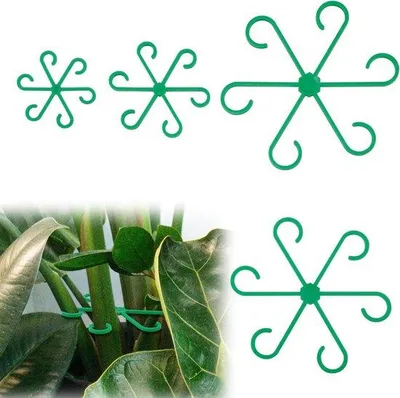 Image de Tuteurs pour plantes - 4 pièces, pour plantes d'intérieur grimpantes