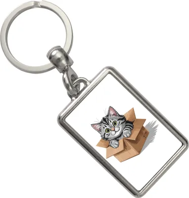 Produktbild von Katze im Karton Schlüsselanhänger für Katzenfans