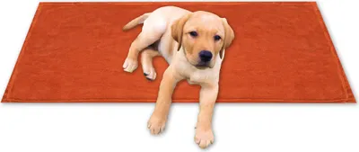 Image de Tierdecke Kuschel - Supersoft 80x120 cm terracotta - ochre