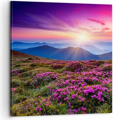 Produktbild von Bild auf Leinwand - Leinwandbild - Wiese Berg Himmel Landschaft - 60x60cm - Wand Bild - Wanddeko - Leinwanddruck - Bilder - Kunstdruck - Wanddekoration - Leinwand bilder - Wandkunst - AC60x60-2719
