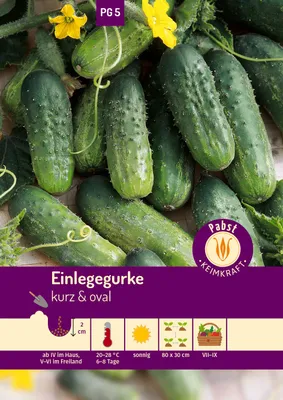Artikelbild 1 von 'Einlegegurke Vorgebirgstrauben' aus der Kategorie Einlegegurkensamen