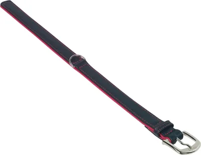 Produktbild von Nobby Halsband Pacific rot, Länge: 27 cm / Breite: 12/14 mm
