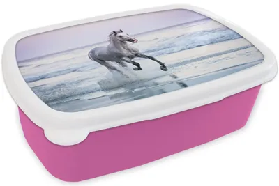 Produktbild von KitchenYeah® Lunchbox Brotzeit Brotdose 17x11 cm Pferde - Luft - Meer Kinder Brotzeitdose - Lunchpaket - Brotkasten  - Sandwich Box