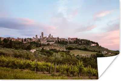Produktbild von MuchoWow® Poster Weinberg in der Toskana 120x80 cm - Bilder
