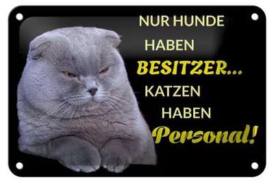 Produktbild von Blechschild Spruch 18x12cm Hund hat Besitzer Katze Personal