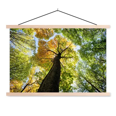 Produktbild von MuchoWow® Textilposter Baum - Natur - Wald 120x80 cm mit holzfarbenen Rahmen - Aufhängeset