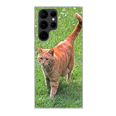 Produktbild von MuchoWow® Handyhülle Schutzhülle Hülle für Samsung Galaxy S22 Ultra Katze - Rot - Katze - Mädchen - Kinder - Jungen - Kind Silikon Softcase Handy Hülle - Abbildung