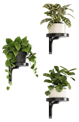 Productafbeelding van Bloemenstandaard plantenstandaard 3 stuks