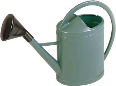 Image de Arrosoir plastique ovale + pomme 3 L