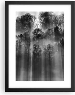 Produktbild von Gerahmtes Poster - Schwarzer Rahmen - Bäume drinnen Nebel - 30x40 cm - Wand Bild - Wanddeko - Wandbilder - Kunstposter - Wandposter - Bilderrahmen - Bilder - Kunstdruck - P2BPA30x40-4889
