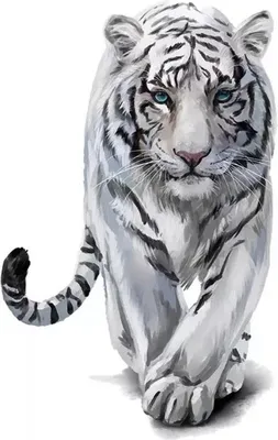 Produktbild von Tiger-Bügelapplikation, weiß, klein