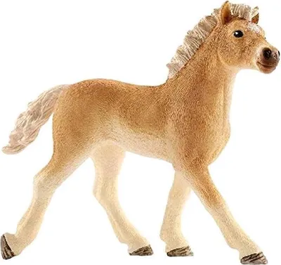 Produktbild von Schleich 13814 Schleich Haflinger Fohlen