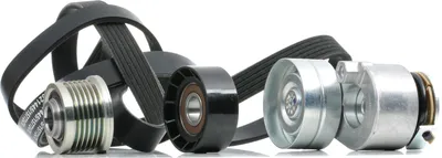 Produktbild von RIDEX 542R0732 Keilrippenriemensatz für OPEL Vivaro A Kastenwagen (X83)