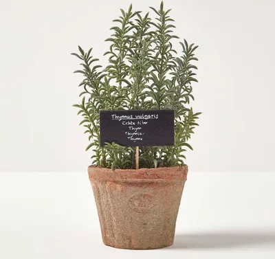 Produktbild von HOMESCAPES Künstliche Thymian-Topfpflanze