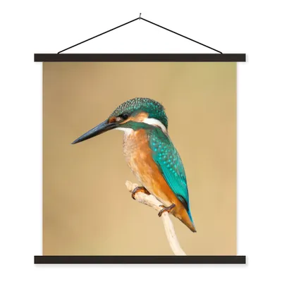 Produktbild von MuchoWow® Textilposter Eisvogel - Tiere - Vogel 120x120 cm mit schwarzem Rahmen - Aufhängungsset