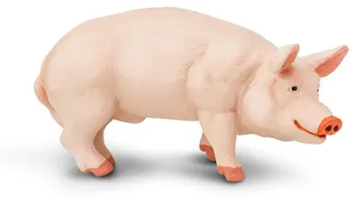 Produktbild von Safari Ltd Bauernhofschwein Figur Rosa From 3 Years Kinder Rosa From 3 Years