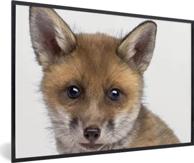 Produktbild von MuchoWow® Gerahmtes Poster Fuchs - Tiere - Jungtier - Jungen - Mädchen - Kind 90x60 cm - Poster mit Schwarzem Bilderrahmen Wandposter Rahmen Foto Bilder - Fotorahmen - Foto-Plakat