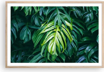 Produktbild von Gerahmtes Poster - Rahmen in heller Eiche - Blume Natur - 91,5x61 cm - Wand Bild - Wanddeko - Wandbilder - Kunstposter - Wandposter - Bilderrahmen - Bilder - Kunstdruck - Wandbild - P2NAA91x61-3951