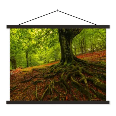 Produktbild von MuchoWow® Textilposter Baum - Wald - Herbstblätter 60x45 cm mit schwarzem Rahmen - Poster Schlafzimmer