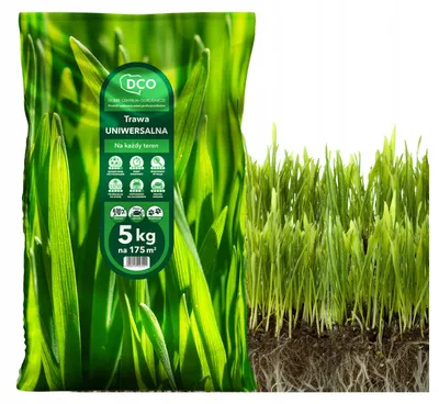 Image de Produit - Haute qualité - Nutritif - Pour jardin et balcon - Mélange de gazon - Graines de gazon Premium - universel