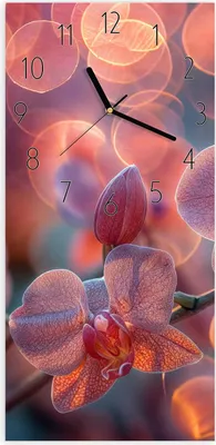 Produktbild von Wanduhr aus Glas mit Motiv Orchidee Bokeh- 30 x 60 cm - inkl. Aufhängesystem