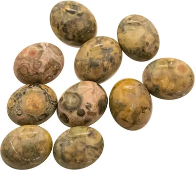 10 Leopardskin Rhyolith Cabochons 10x8 mm Halbedelstein Schmuckstein Klebestein
