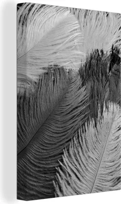 Produktbild von OneMillionCanvasses® - Leinwandbilder - 90x140 cm, Federtexturen - schwarz und weiß, Wandbilder Kunstdruck Wanddekoration - Wandschmucke - Schlafzimmer
