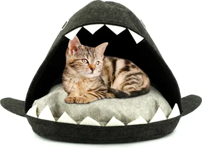 Produktbild von Katzenhaus mit Kissen Haiform