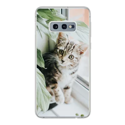 Produktbild von MuchoWow® Handyhülle Schutzhülle Hülle für Samsung Galaxy S10e Katze - Kätzchen - Pflanzen Silikon Softcase Handy Hülle - Handy