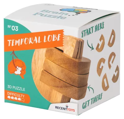 Productafbeelding van Hersenspel #3: Temporale kwabben