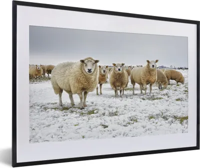Produktbild von MuchoWow® Gerahmtes Poster Schafe - Wolle - Schnee 60x40 cm - Poster mit Schwarzem Bilderrahmen Wandposter Rahmen Foto Bilder - Schlafzimmer - Plakat in Rahmen - Drucken