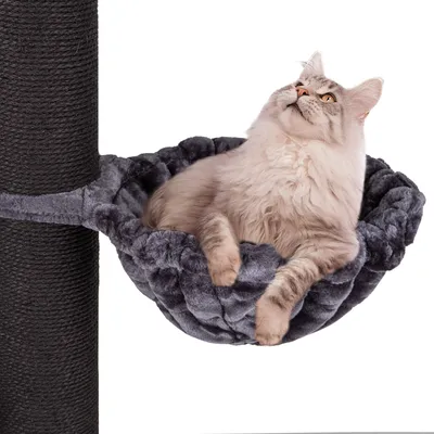 A cat is resting in a plush hammock attached to a scratching post.