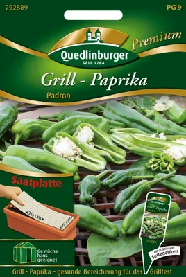 Artikelbild 1 von 'Grill-Paprika Padron (Saatplatte)' aus der Kategorie Gemüsesamen