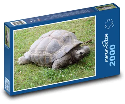 Zdjęcie produktu dla Puzzle 2000 Żółw na Zielonej Łące - martinpuzzle